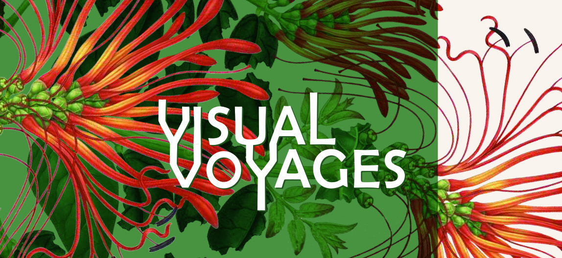 Chu + Gooding Designs “Visual Voyages” at The Huntington