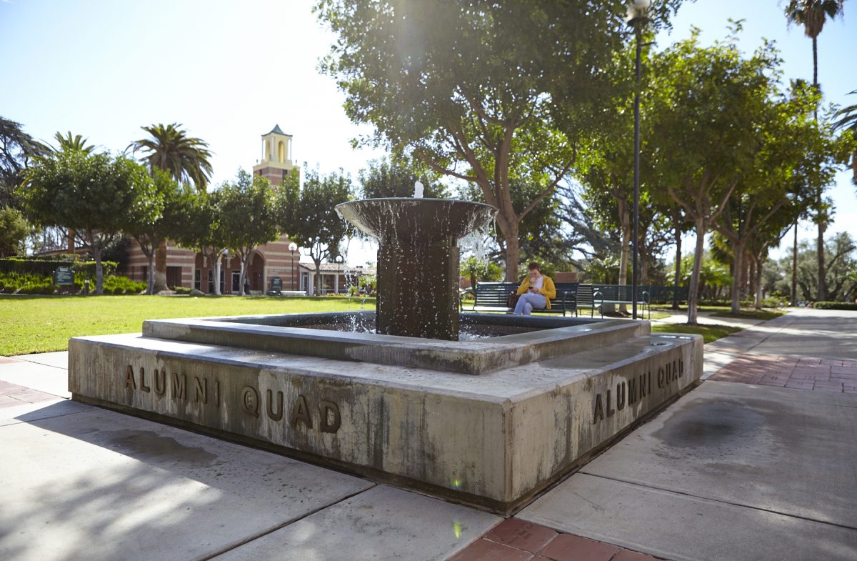 Alumni Quad