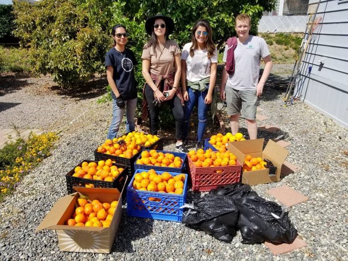 Woodbury’s Food and the City Philanthropy Project provided some San Diego students with the opportunity to donate the fruits of their labor to a local community in need