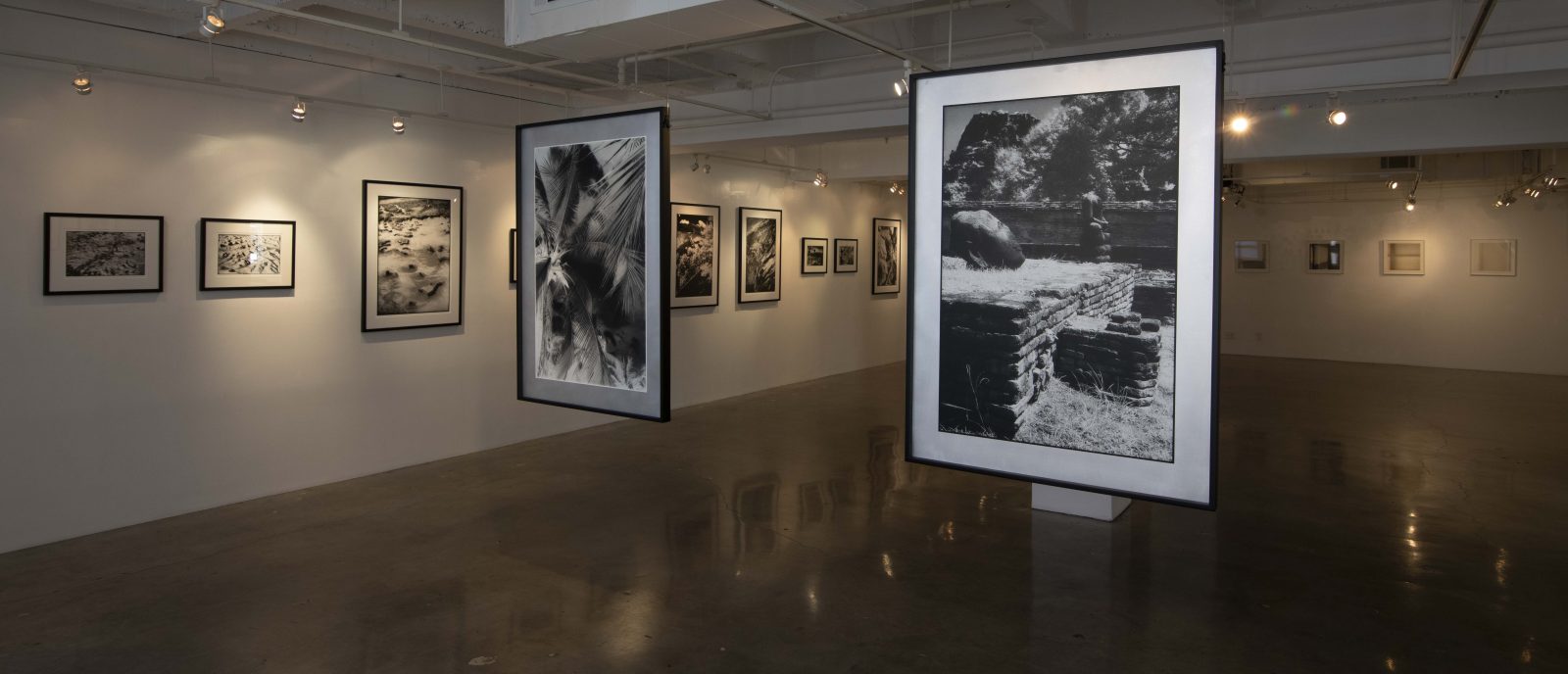 Nan Rae Gallery Presents Sentience: Photographs by Edward Alfano and Lesley Krane