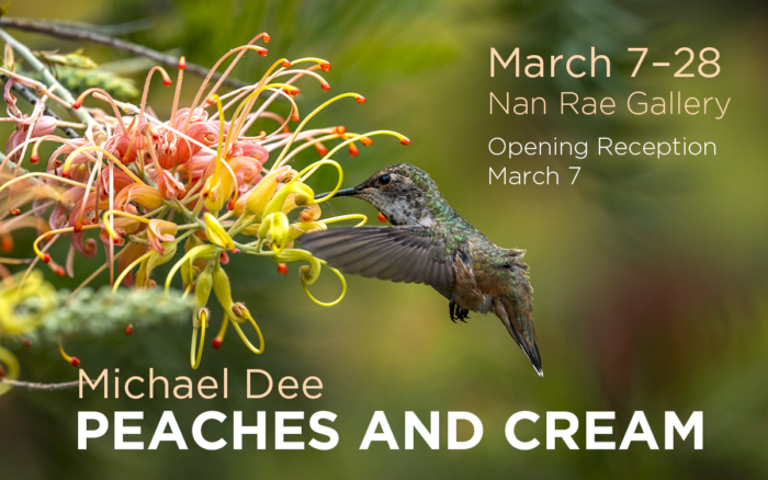 March 7-28, Nan Rae Gallery, Opening Reception, March 7, Michael Dee, Peaches and Cream