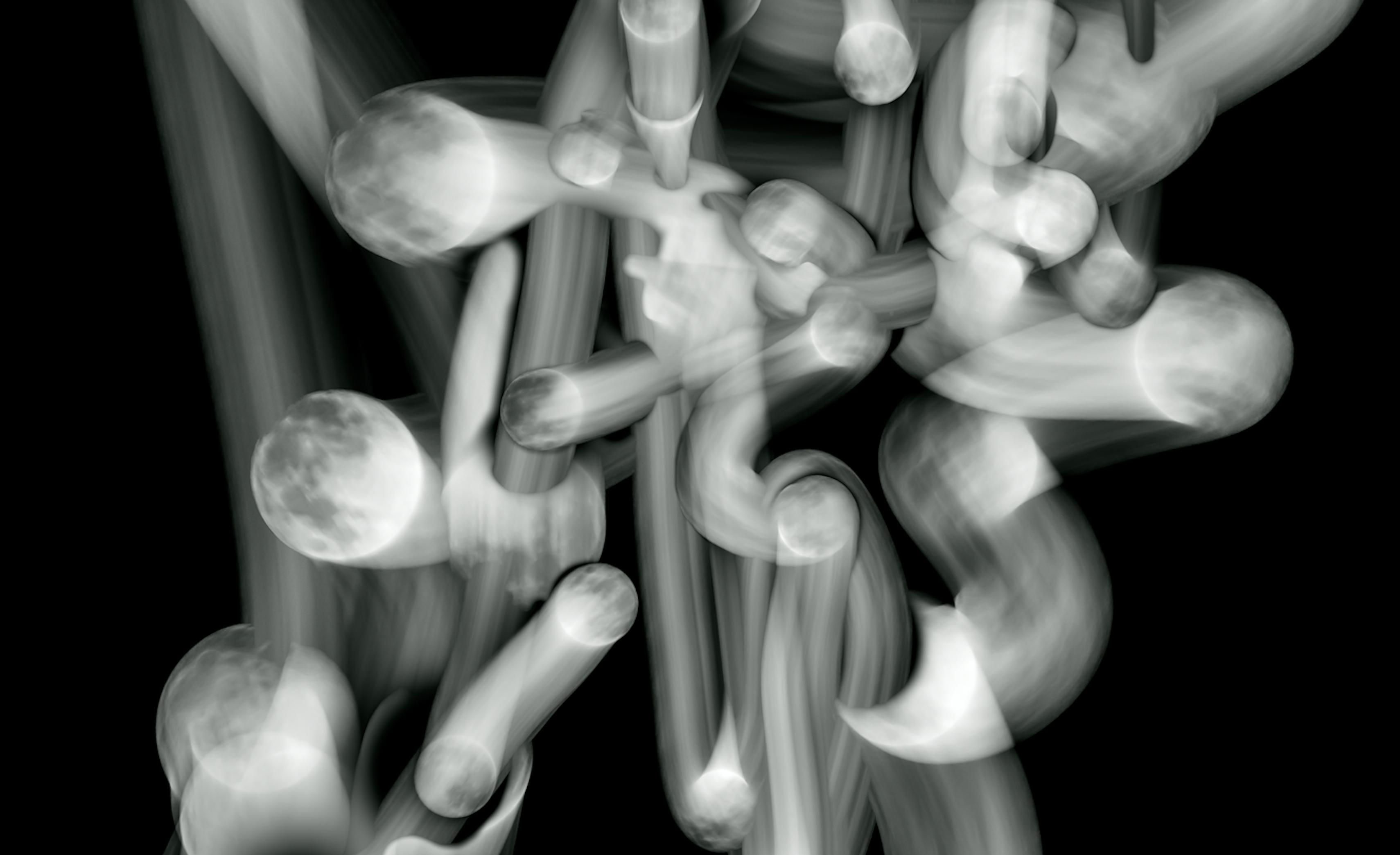 Meditations on Resilience Curated by Michael Dee and Eve Wood