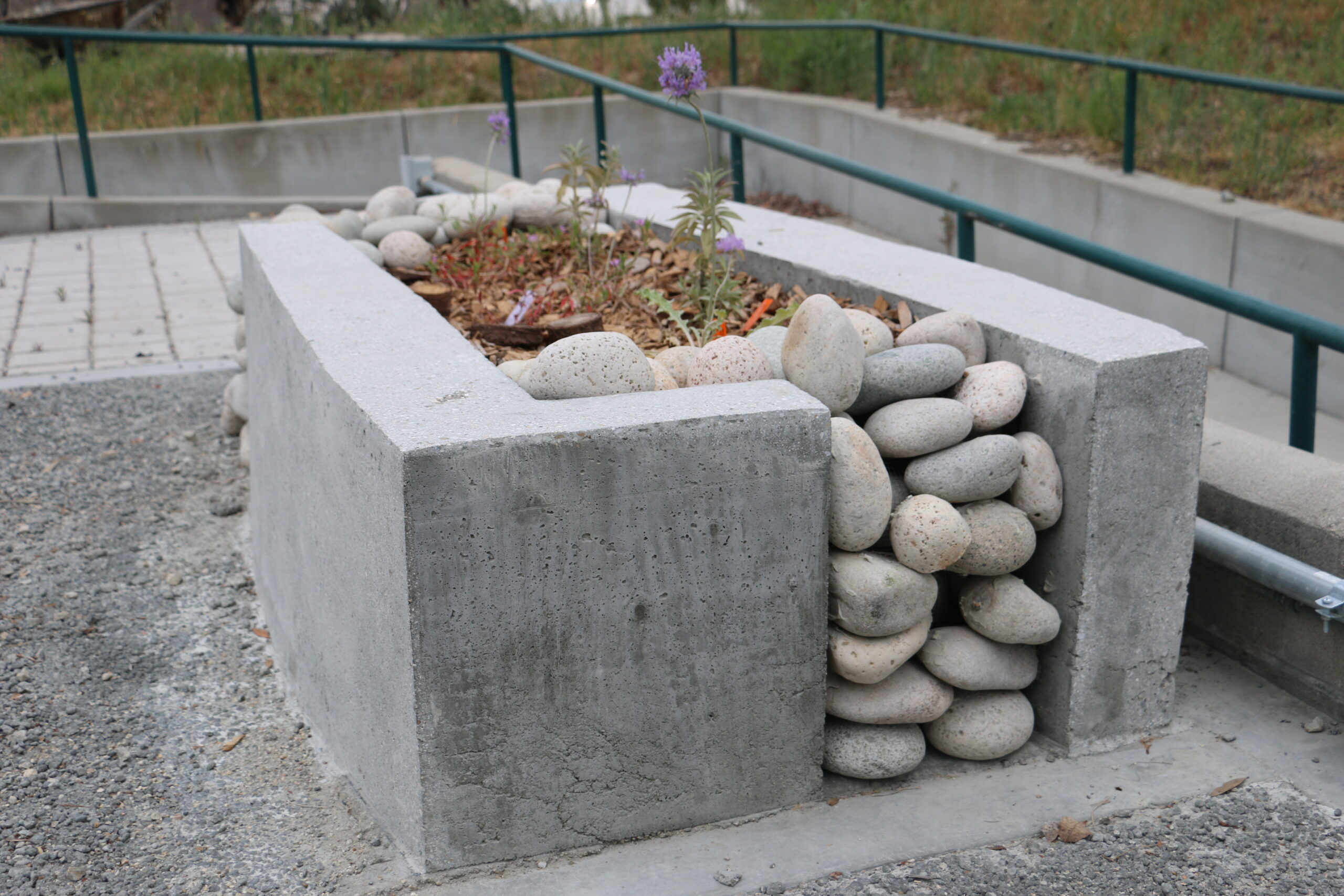 Rethinking Rainwater: Students construct new bioswale at Woodbury’s Sustainability Hub
